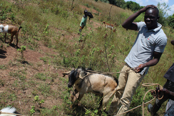 farmers with peace