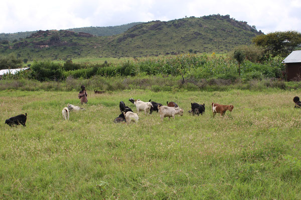 farming society